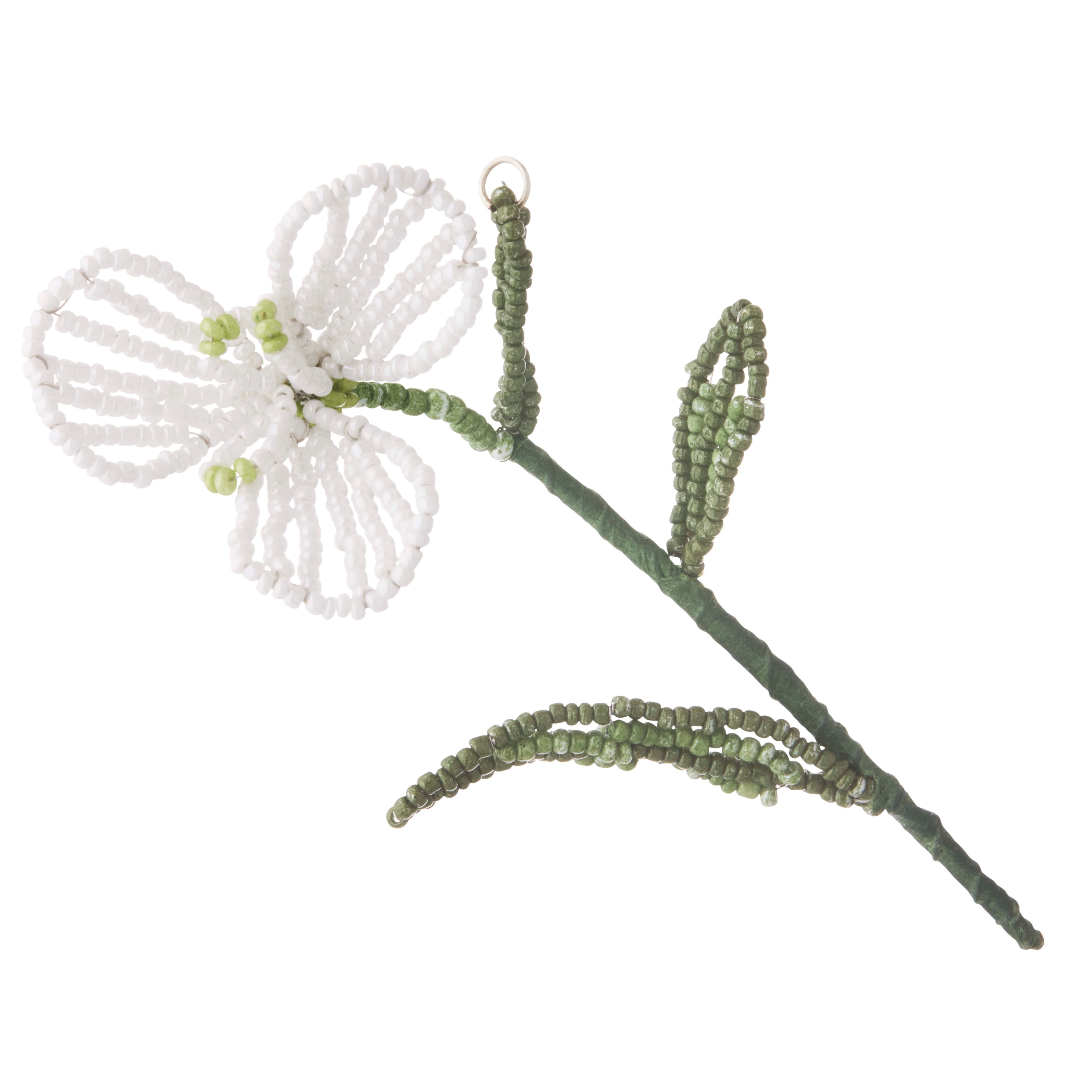 Vintergæk perleblomst - hvid/grøn